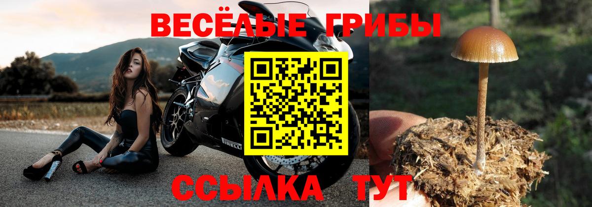 Мефедрон кристаллы  ГАШИШ  Алапаевск  Вход с VPN 